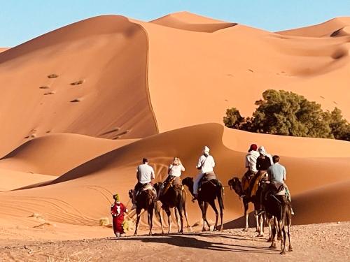 Buongiorno Travel Recommended Desert Camp