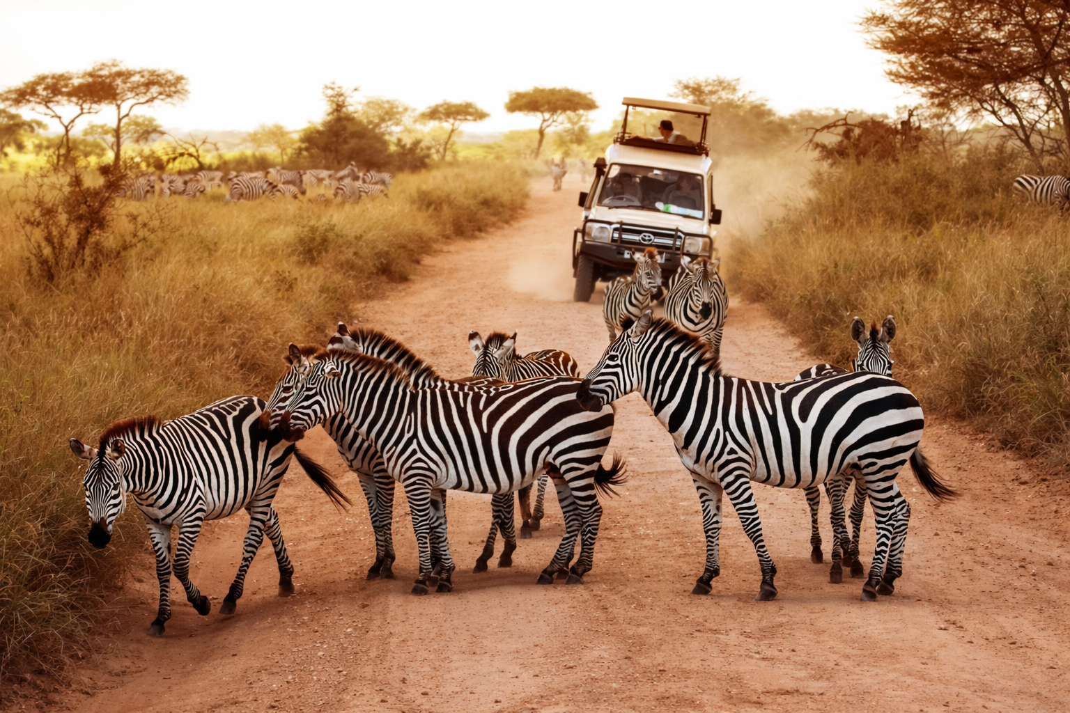 Africa