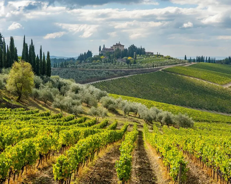 CHIANTI: A TASTE OF RURAL TUSCANY