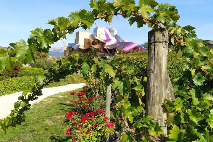 A Gourmet Journey Through Spain’s La Rioja Wine Region
