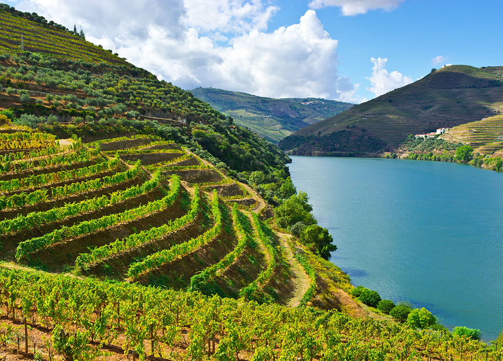Porto Pre-Tour Extension — Discover Portugal’s Douro Valley & Cultural Gems