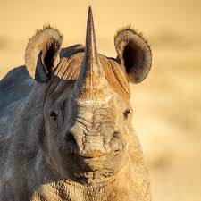 Southern Africa: A Family Odyssey 2027