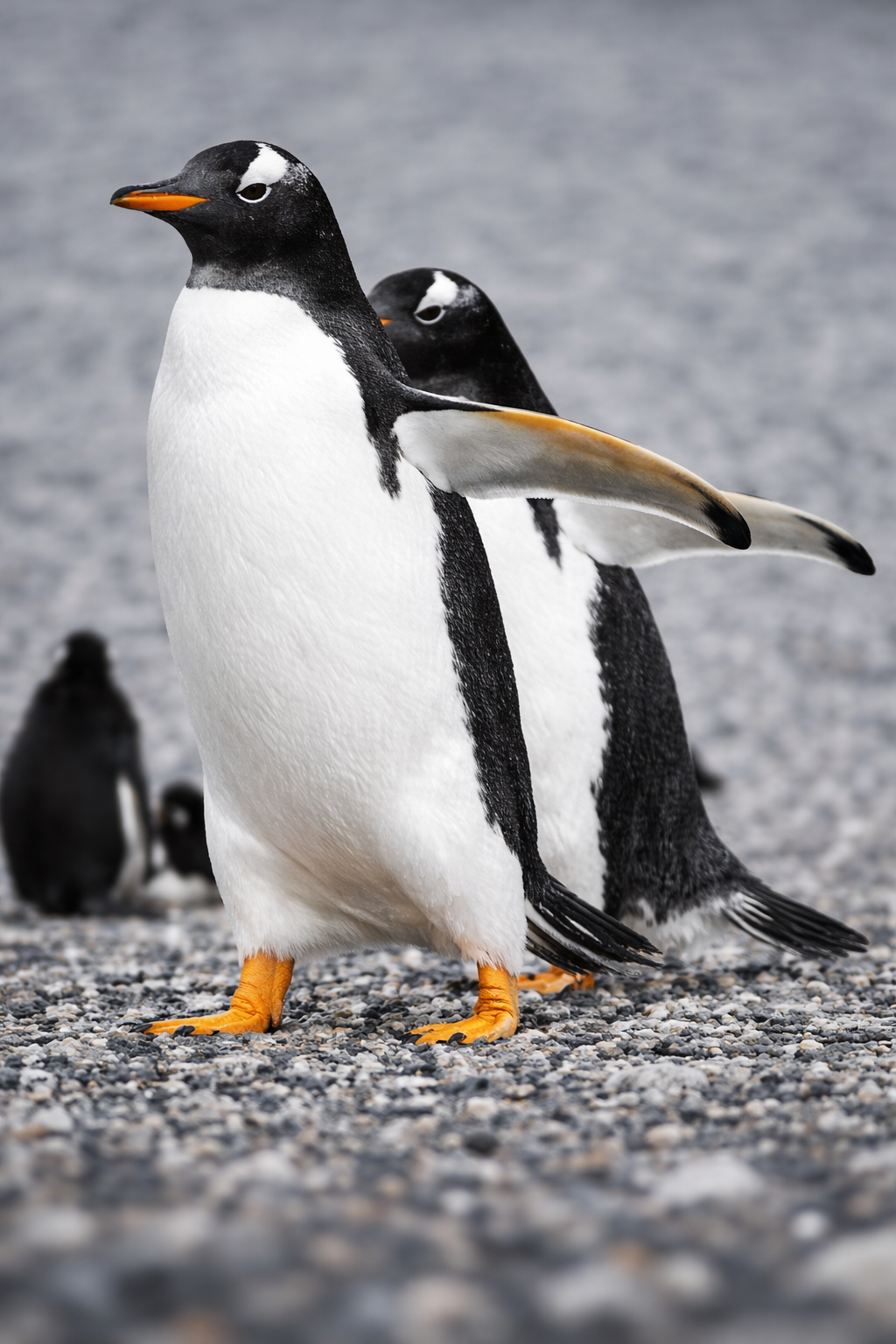 Patagonia  Adventure & Luxury Exploration 2026 
