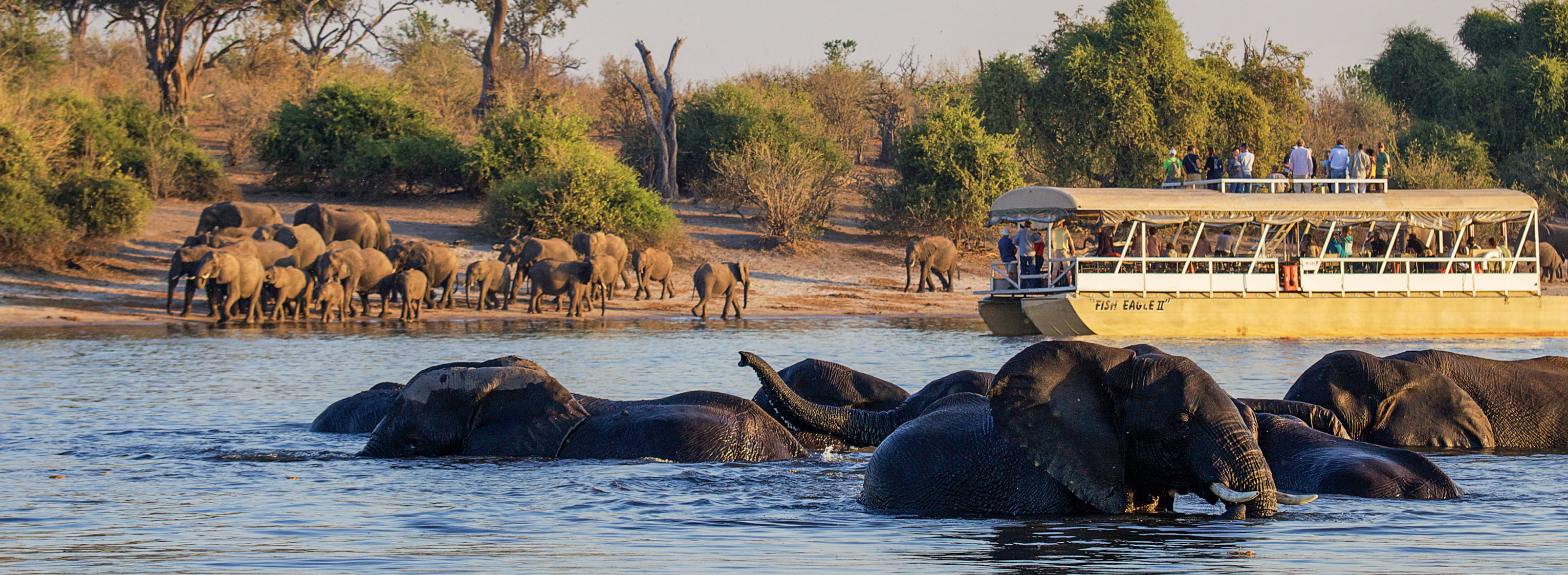 South Africa Signature Safari & Victoria Falls