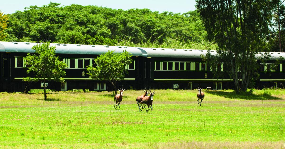 Southern Africa Luxury Safari and Train Journey
