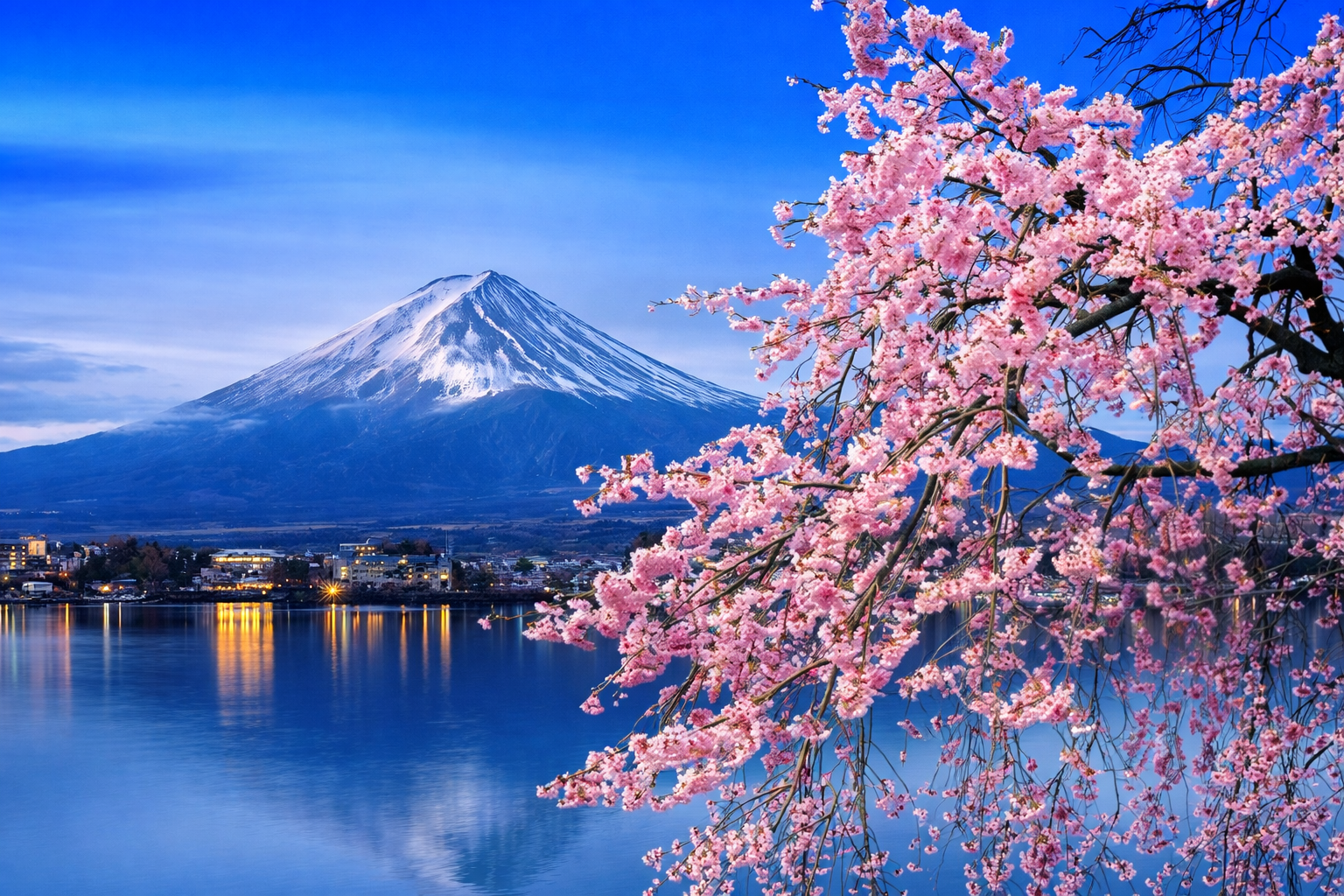 Essence of Japan