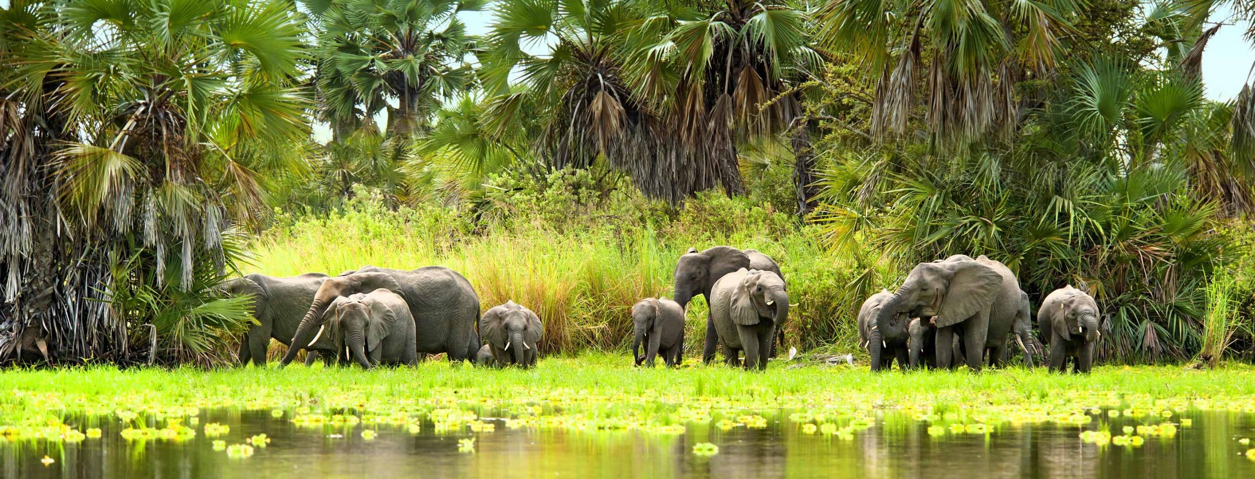 Botswana Signature Safari 2026